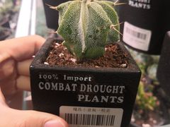 -KKV(深圳宏发大仟里店)