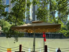-成都市活水公园