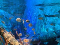 -沈阳海洋探索中心