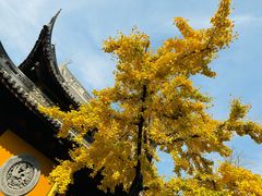 -龙华寺