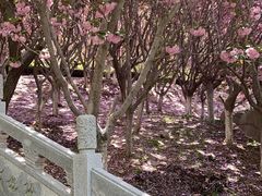 -石岛赤山风景区