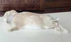 -润泽瑞尼丝医疗美容医院