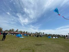 -春花秋色城市公园