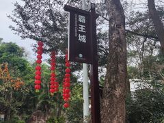 -东莞市大岭山森林公园