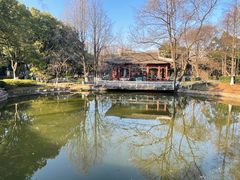 -南京古林公园
