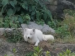 -杭州野生动物世界