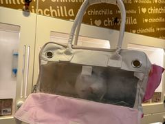 -龙猫仔乐园(惠福东路店)