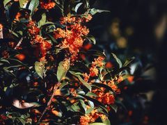 -杭州少年儿童公园