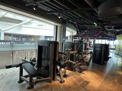 -威尔仕健身(虹桥南丰城店)