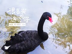 -东部华侨城