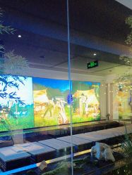 -爱儿美儿童摄影(朝阳公园店)