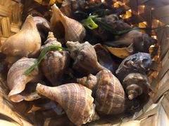 高压锅蒸海螺-千岛蚝高压锅生蚝·人参火锅(白云万达店)