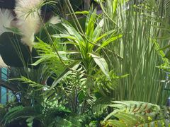 -清真有奴思烤肉坊(酒泉路店)