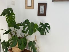 大堂-AHAVA·Fang Baking Studio
