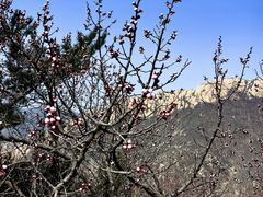 -天津盘山风景名胜区