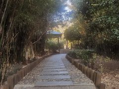 -九龙潭景区