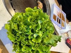 -杨记齐齐哈尔烤肉(总店)