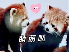 -无锡动物园·太湖欢乐园