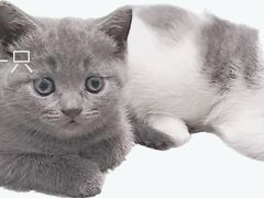 -127陈设艺术产业园-A座