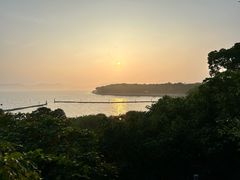 -上海市保健医疗中心