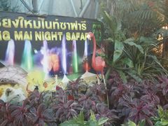 -清迈夜间动物园