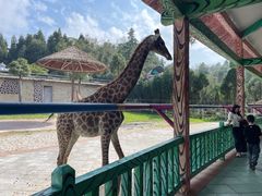 -贵州森林野生动物园
