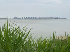 -天津东丽湖风景区