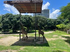 -深圳野生动物园