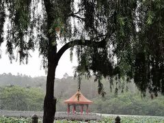 -南国桃园旅游度假区