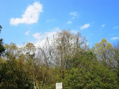 -天台山赤城山景区