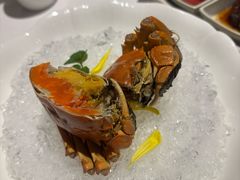 -南麓·浙里(外滩店)