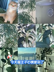 -HEYAN荷妍专业脱毛连锁机构