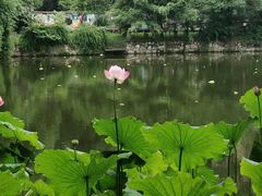 -沙市市中山公园