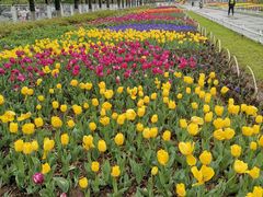 -玄武湖景区-情侣园游乐场