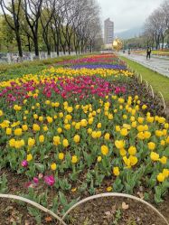 -玄武湖景区-情侣园游乐场
