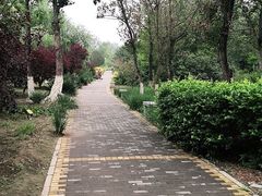 -绿堤公园