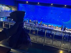 -汉堡王(海昌海洋公园店)
