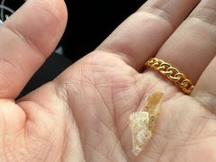 -日尝·叶子家(万联城店)