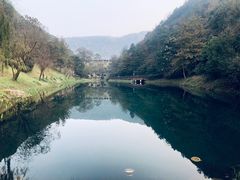 -桃花岭景区