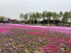 -石家庄市植物园