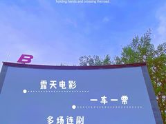 -枫花园汽车电影院(朝阳公园店)