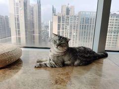 -Catmate·猫肥家润(金润铂宫店)