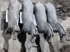 -秦始皇帝陵博物院(兵马俑)