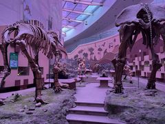 -陕西自然博物馆