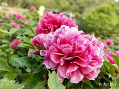 -幕燕滨江·长江观音景区
