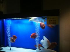 -宁海食府(大剧院店)