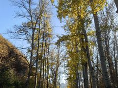 -百里山水画廊