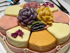 -哈根达斯(国瑞店)