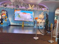 -帝企鹅自助餐厅•儿童岛•真企鹅(长隆企鹅酒店)