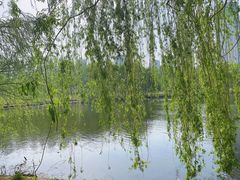 -长白岛森林公园